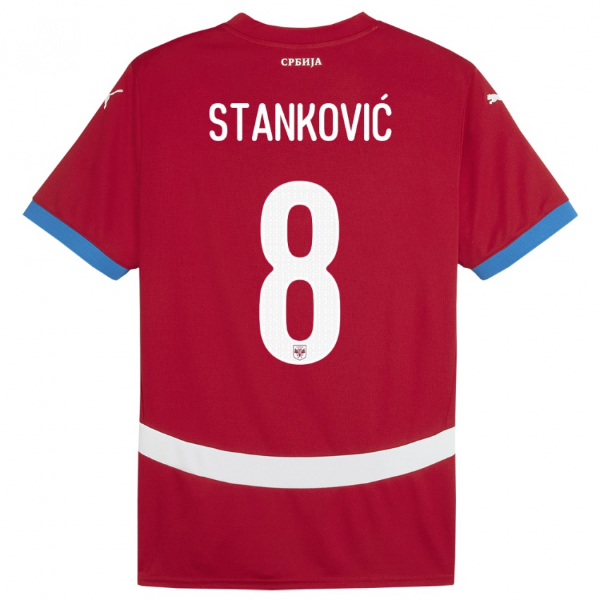 Gyermek Szerbia Aleksandar Stankovic #8 Piros Hazai Jersey 24-26 Mez Póló Ing